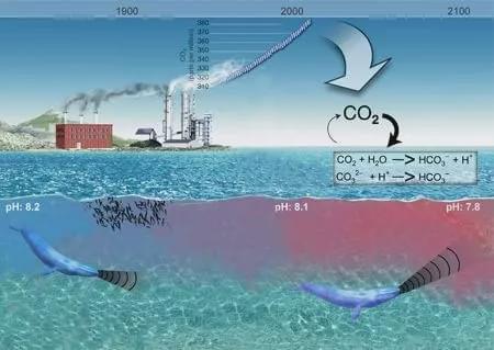 海洋能带来什么 生物质能量