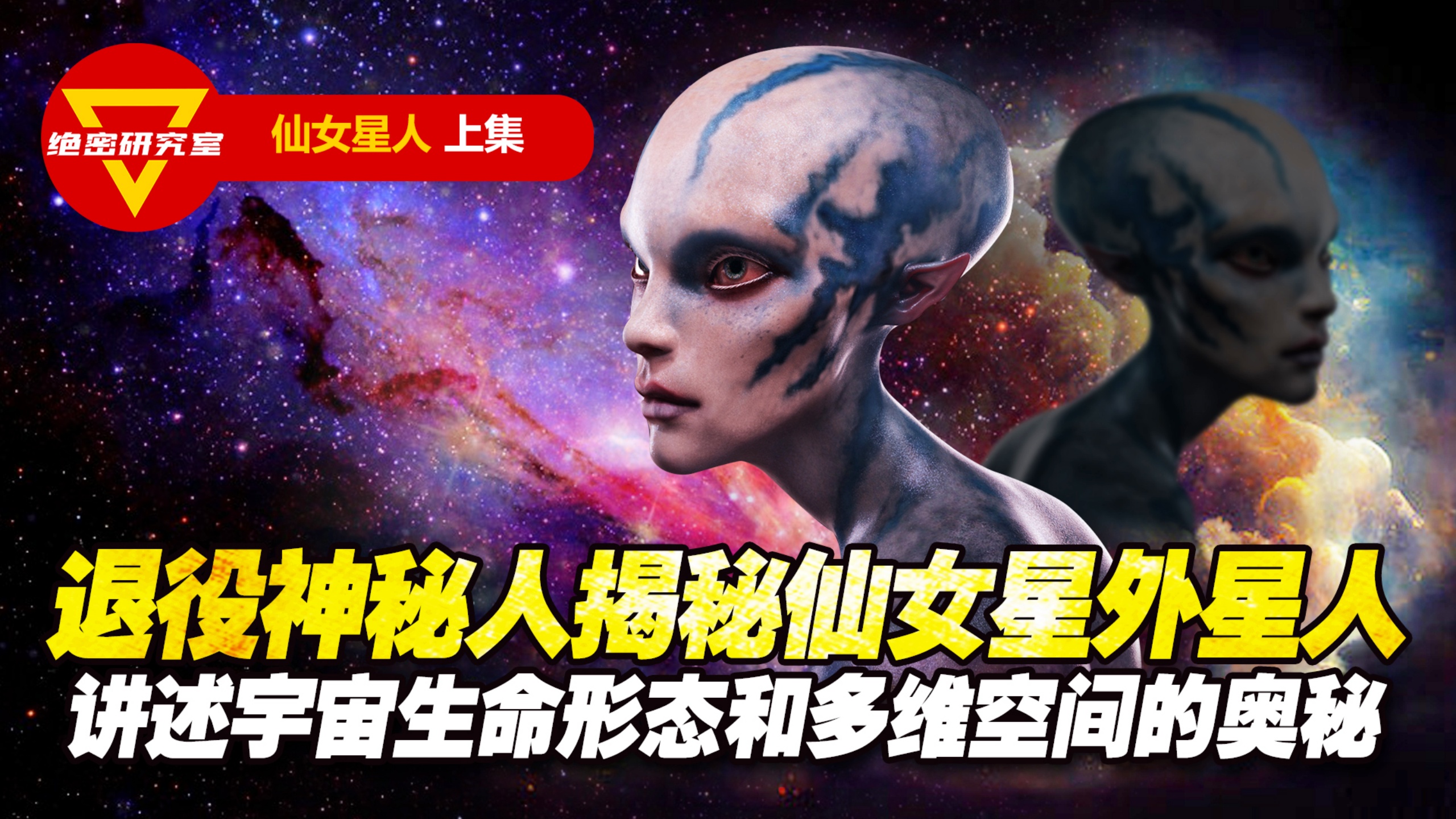 仙女星人与次元，未知领域的新视角探索