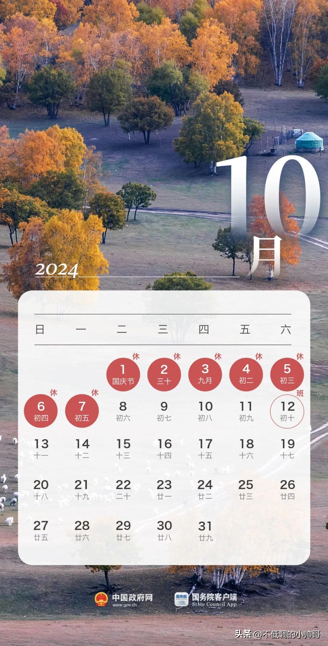 2024年11月15日 第7页