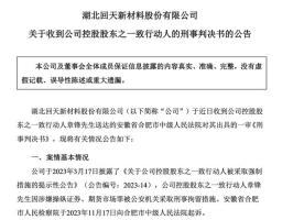 A股龙头原董事长被判八年罚款一点五亿元，企业治理深刻教训揭秘