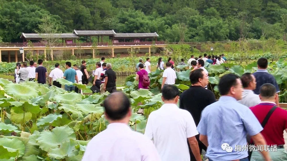 湘潭大学，田间地头新闻课堂——文旅融合教育新模式探索