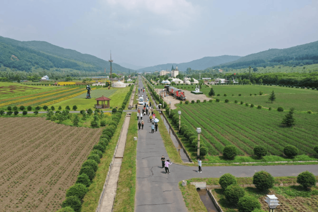 伊春市丰林县搭建多元化服务平台，发挥双重作用，实践与探索之路