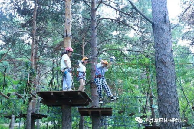 临安小伢儿乐园，陌上花开，竹溪听雨的美好旅程