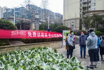 南京农业大学定点帮扶麻江县十年成果概览，校地协作启新程