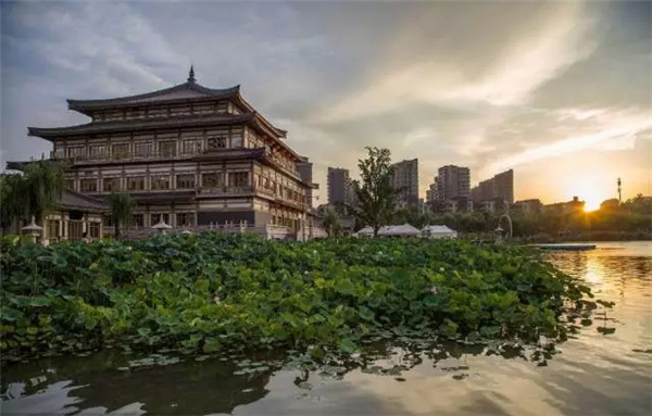 西安景区免门票真相揭秘，深度解析背后的故事与传闻误区