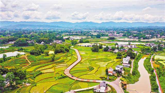 让越来越多耕地成为丰收沃土 高标准农田这样建成