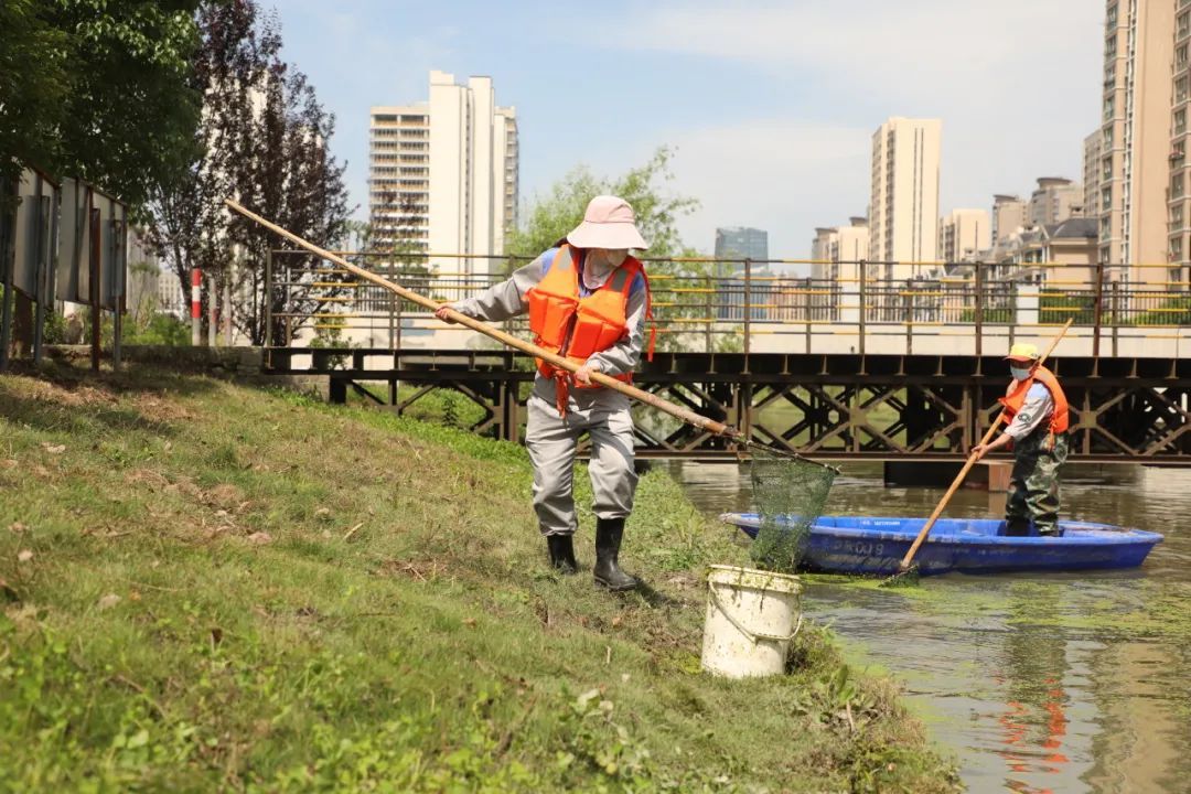 水域环境治理助力城市生态质量提升