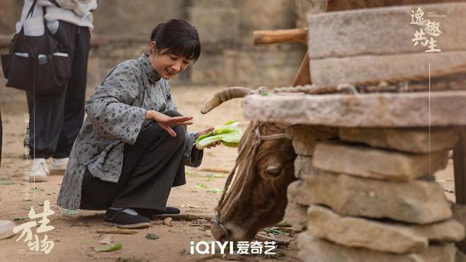 湖北武穴微电影回乡偶记，乡土情怀与山东荣誉的交织