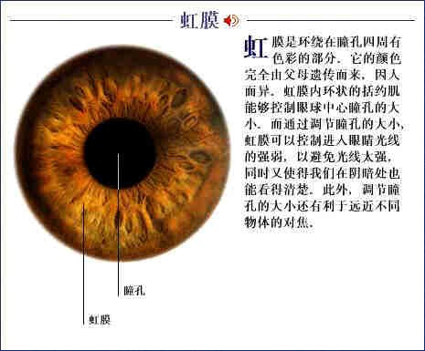 虹膜写真成新潮流，火爆全网背后的安全与风险，专家发出提醒！