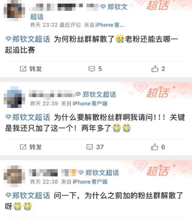 郑钦文粉丝群事件，深度解析与热搜背后的故事