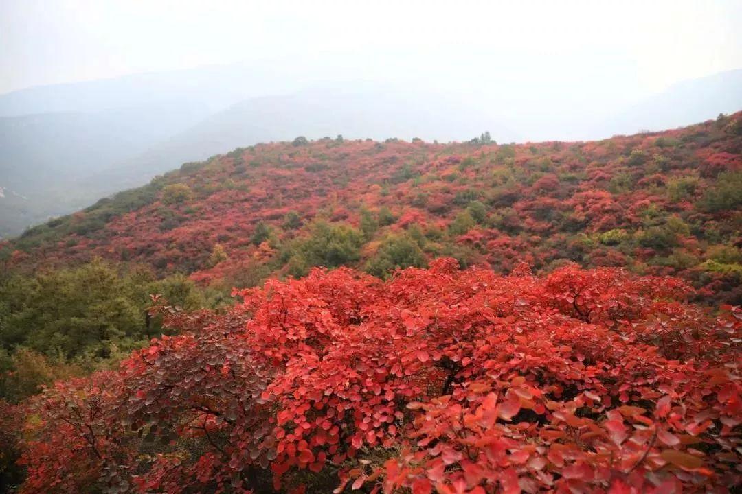 少林寺方丈在联合国气候大会发声，传统智慧与全球责任交融引领时代新篇章