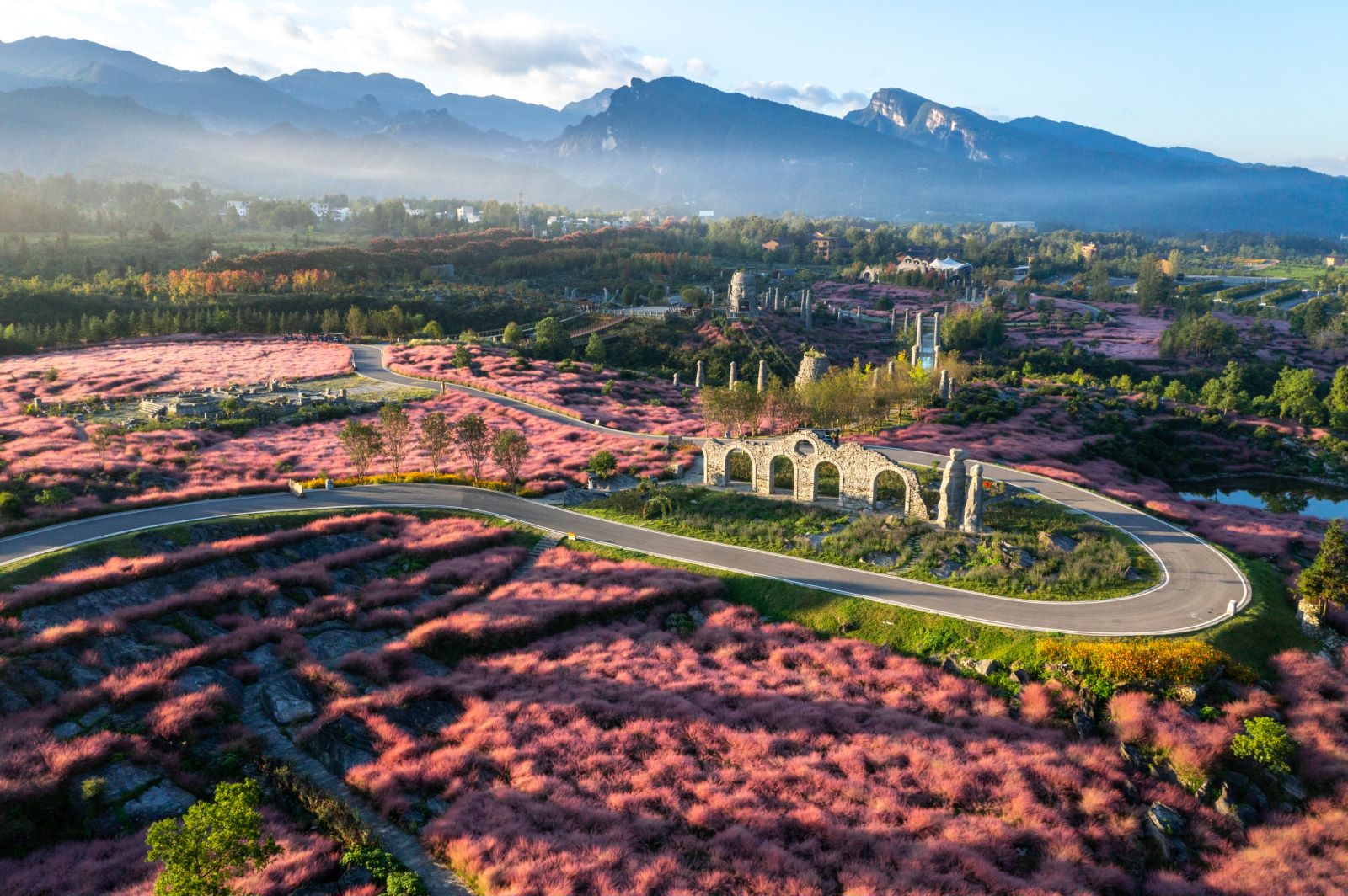 三明泰宁：菌花满“园” 点缀小镇振兴景