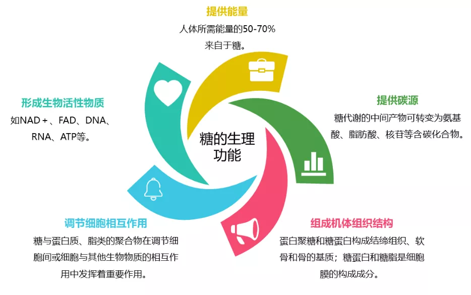 全球开放背景下的代谢解析生物样本库，糖的重要性不容忽视