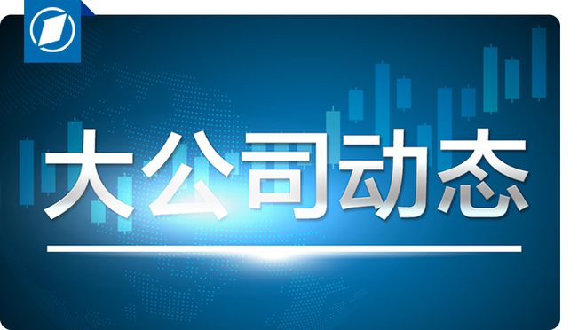 马斯克领导政府效率部招聘，开启高效治理新篇章的序幕