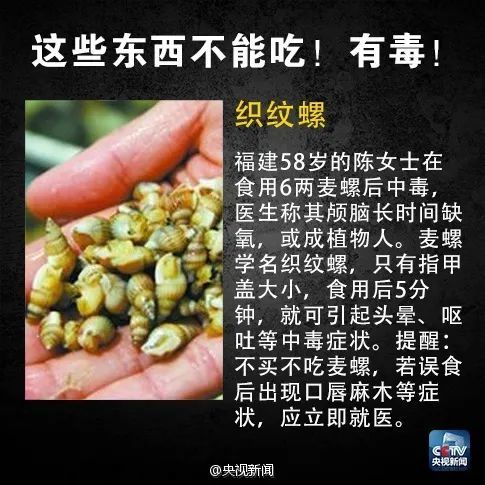 警惕！毒菌生长旺季来临，防范致命危害至关重要