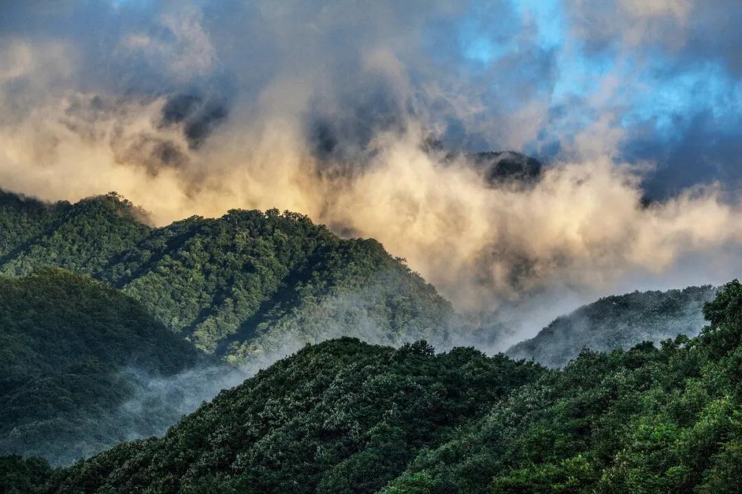 重庆生物智能制造研究院，迈向千亿级市场的转型之旅