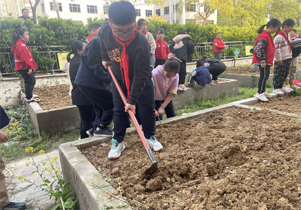 蚌埠禹会区朝阳路第一小学秋季劳动实践活动精彩瞬间回顾