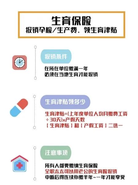 贵工程学生怀孕政策，理解与支持的视角探讨