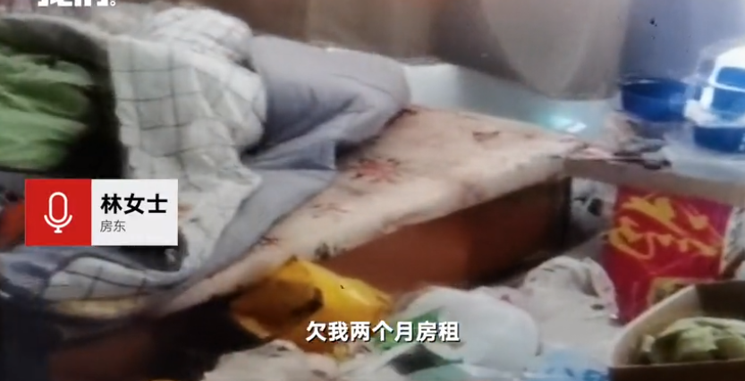 房东吐槽女租客满屋垃圾视频播放